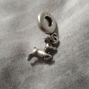 Pandora Bracelet Charm